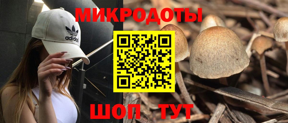 Псилоцибиновые грибы мухоморы Звенигород