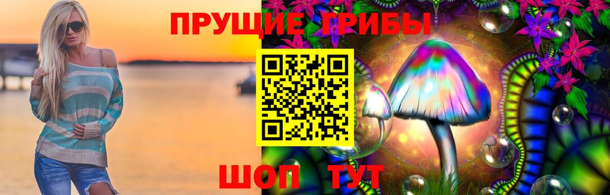 Псилоцибиновые грибы прущие грибы  Вход с VPN  Звенигород 