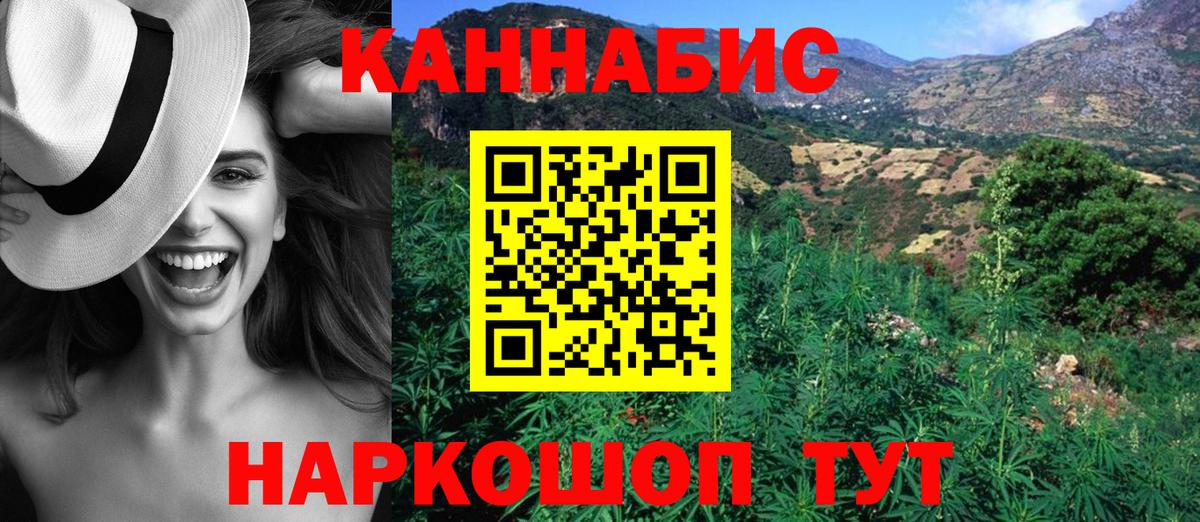 Конопля сатива Звенигород